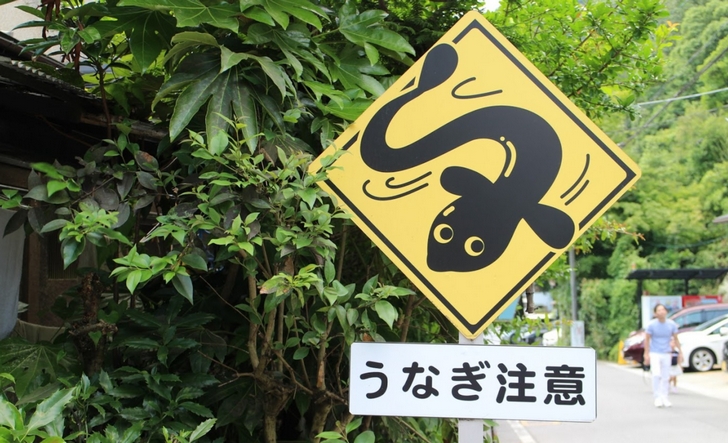 滋賀県大津市にある「うなぎ注意」の看板