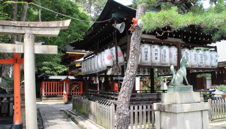 京都の絶対に満足する神社とは？