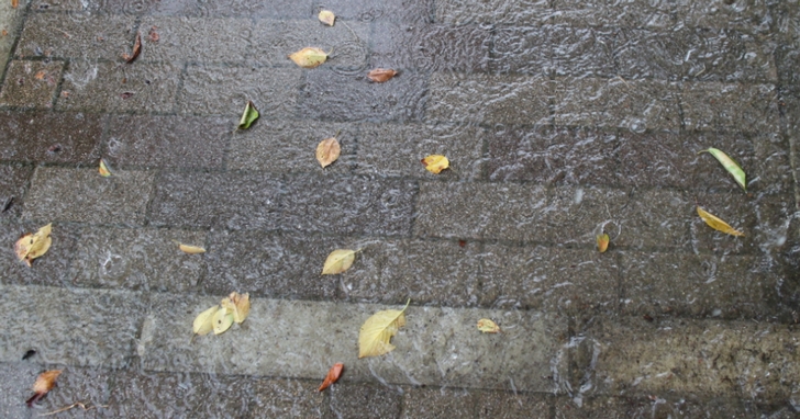 いきなり大粒の雨が降り出し、道は川のように変貌