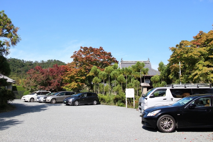 駐車場から見える景色は紅葉っぽいのですが・・・・