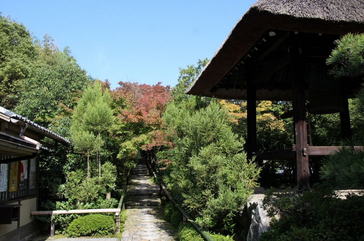 光悦寺の紅葉の状況 2016年10月30日撮影