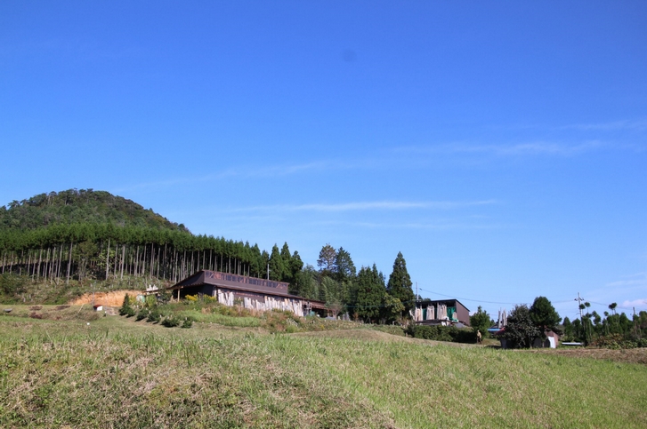 北区の山は京都でも紅葉がはやいタイミングで見られます