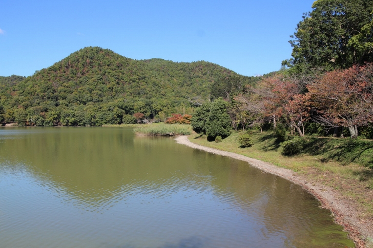 普段は非公開ですが「平安郷」は桜と紅葉の名所で広沢池からも見ることができます