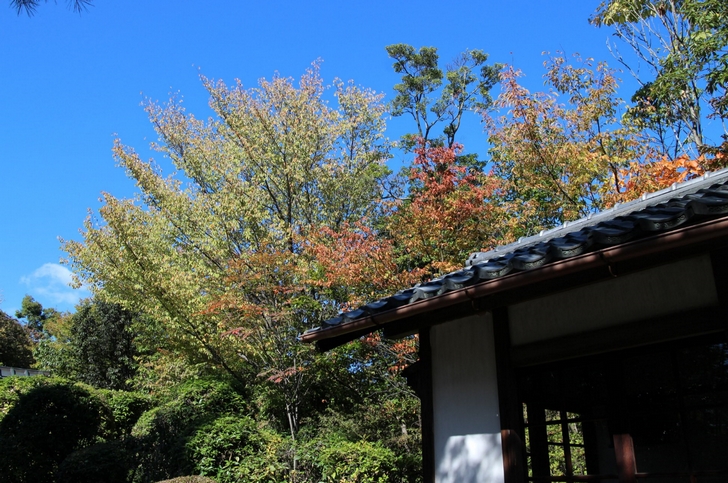 山頂付近からは市内は見えませんが少しだけ紅葉づいた木々を見ることができました
