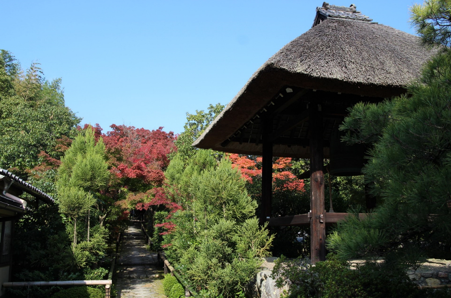 光悦寺の紅葉の状況 2016年11月7日撮影