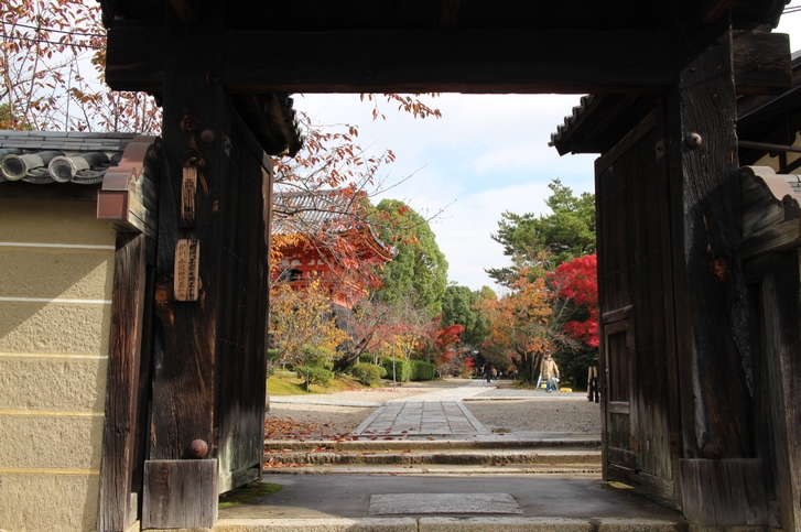 京都・仁和寺 2016年11月15日撮影