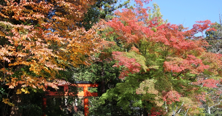 大田神社は境内入り口で紅葉を少し楽しむことができる神社です