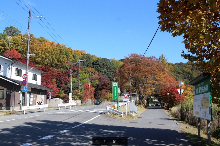 病院などがあるところの紅葉