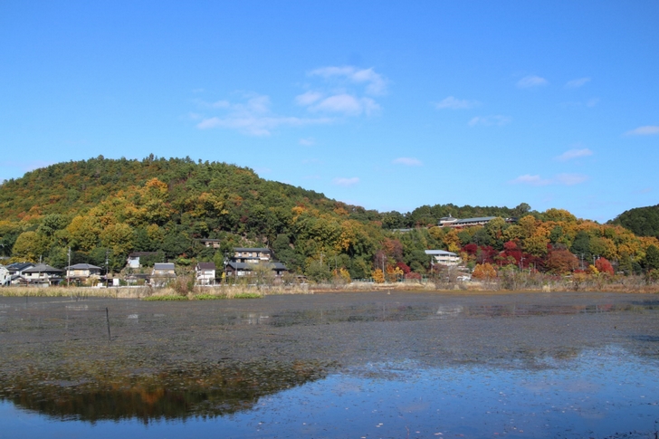 池の奥のほとんどは浮島で冬は島が沈むと言われています