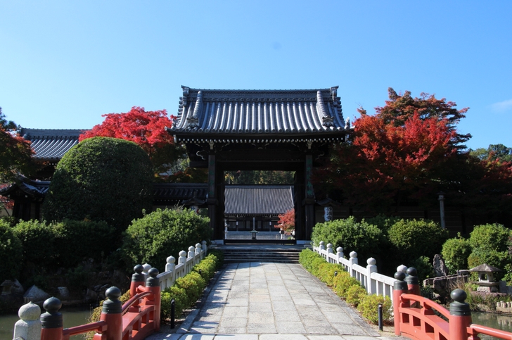 立派な門があり池や紅葉がきれいです