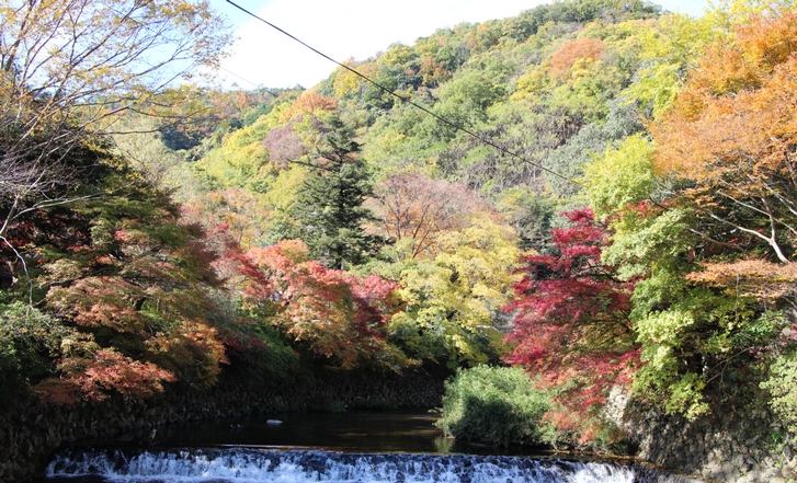 八瀬比叡山口のすぐ近くには川と橋があり紅葉の名所になっています