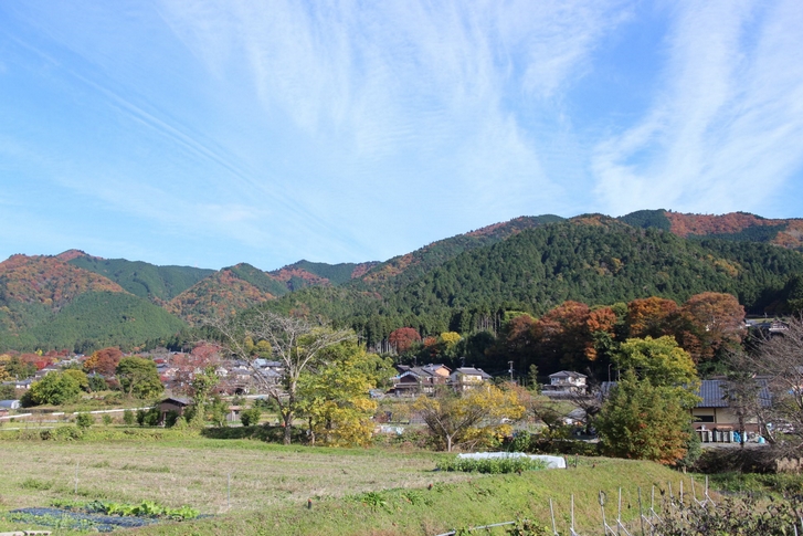 京都の大原が少し残念だったので温泉担当に問いただした所から始まります