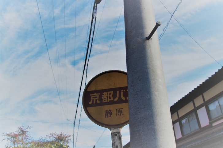奇跡の大銀杏が近くの静原にあるらしい