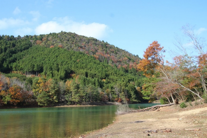 2016年11月22日の沢ノ池の紅葉