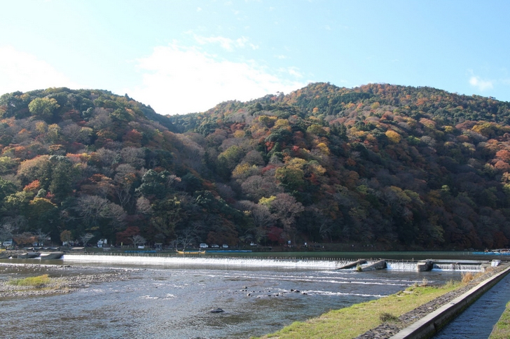 秋・京都の嵐山は平日でも観光客が多く訪れます