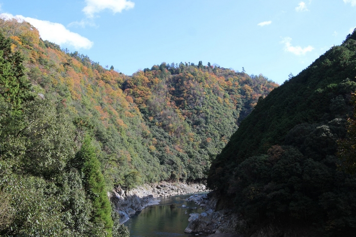 保津川の紅葉、もうほぼ終わってますね