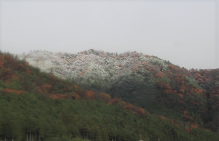 2016年12月16日朝9時過ぎの晴れ間から見た京都・西賀茂小峠の冠雪