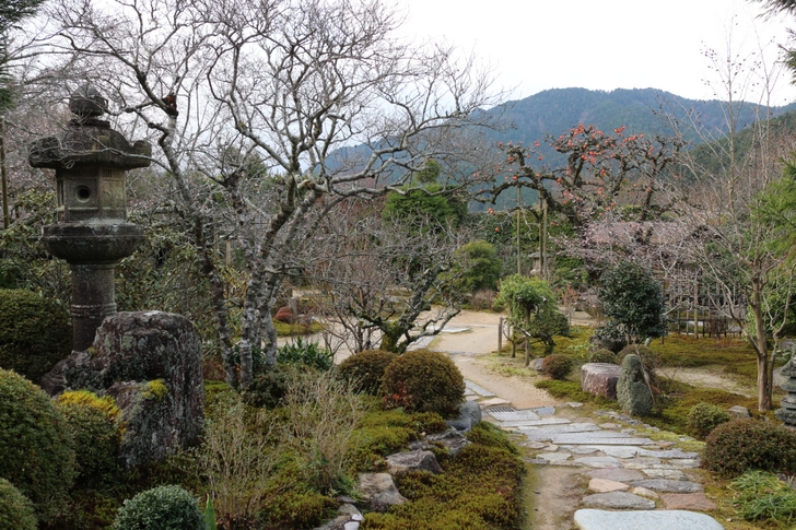 桜を探してお庭を散策