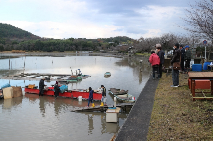 京都・広沢池の冬の風物詩「鯉揚げ」の風景