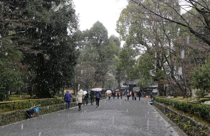 金閣寺に入ると雪が強くなっていきます