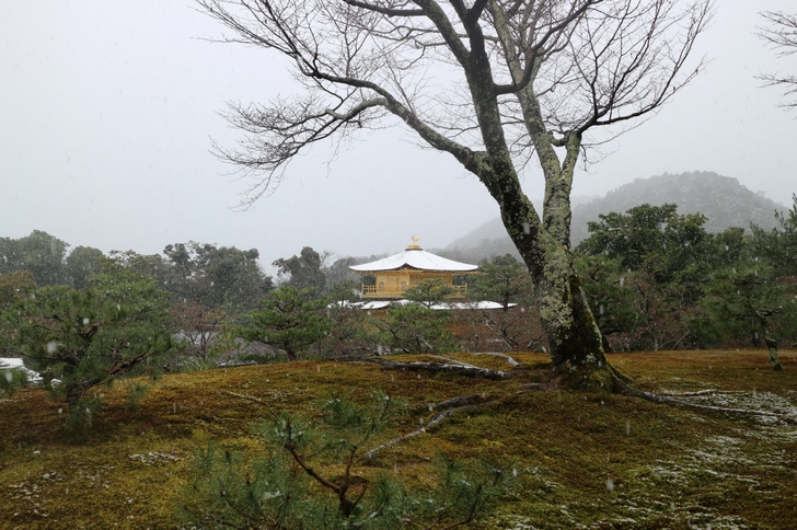 京都 2016年12月28日の「雪化粧の金閣寺」を見に行きました