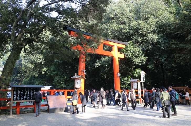 下鴨神社（京都市左京区）鳥居、この先から社殿までの行列ができていました