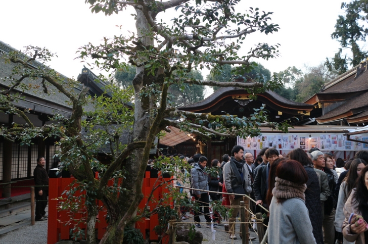 上賀茂神社（京都市北区）社殿、かなり狭いですが流れが速いです