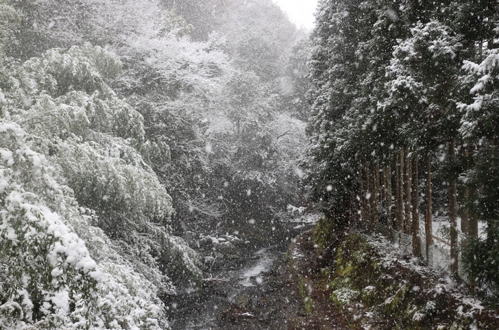 京都・持越峠の手前です、吹雪はさらにここから強まっています