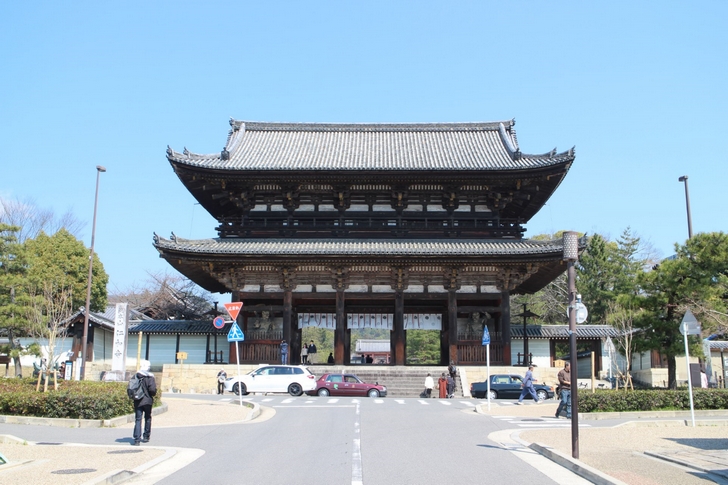 晴天の京都で桜は咲いているでしょうか?