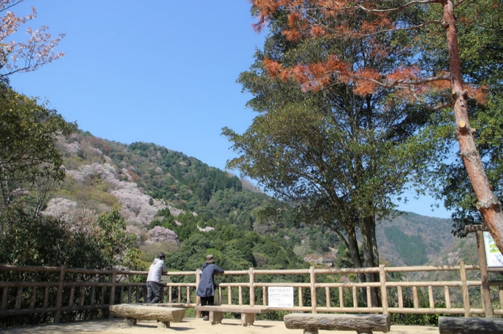 実は桂川の渓谷が一望できる小倉山への入口でもあるのです