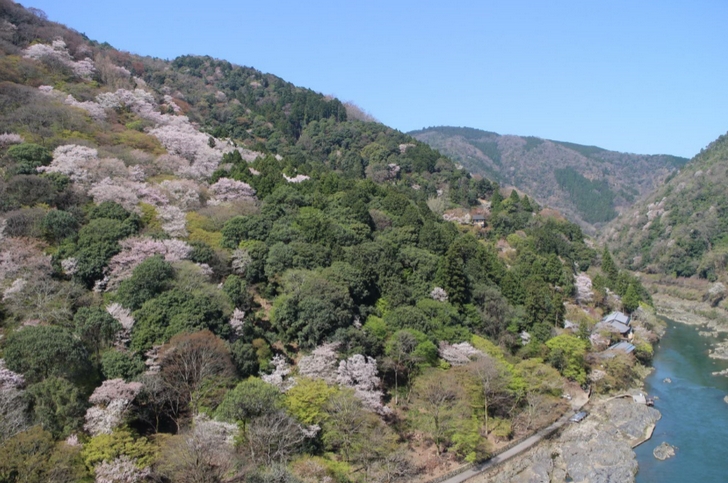 小倉山展望所で見られる絶景