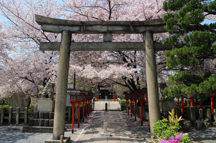 駅に近い桜の穴場「六孫王神社」への行き方