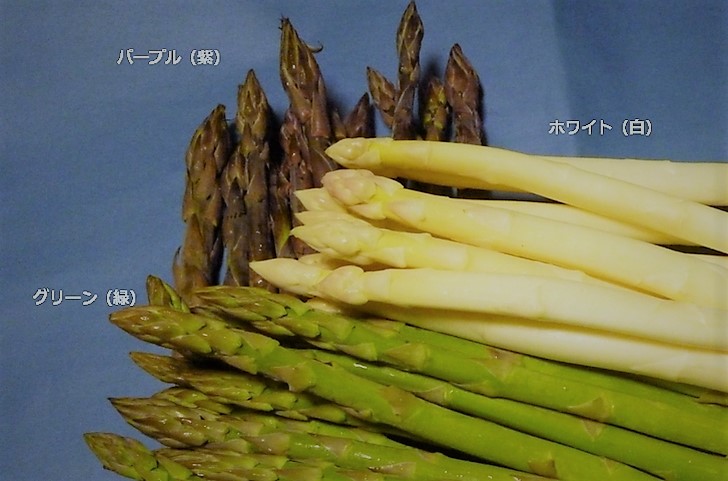 3色アスパラガス(田島アスパラ) ※転載不可※