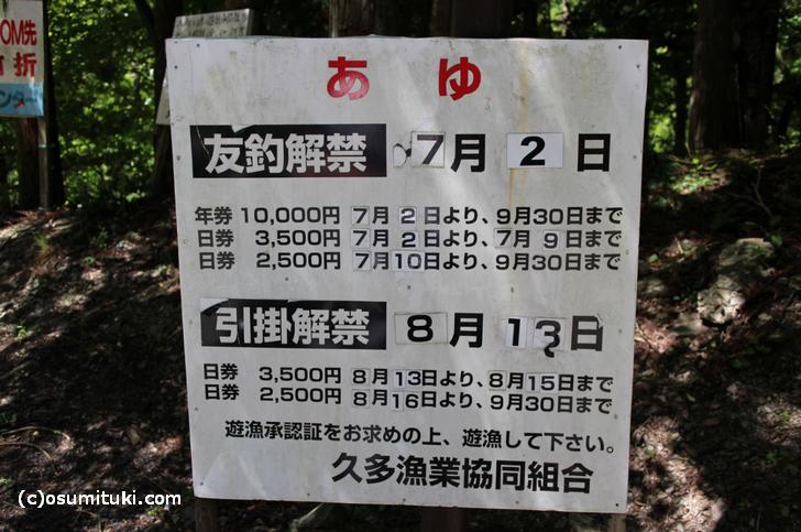 久多（京都市左京区）のアユ漁（引掛）は8月13日から解禁