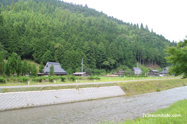 自然豊かな京都・広河原で「イタドリの山椒煮」が復活