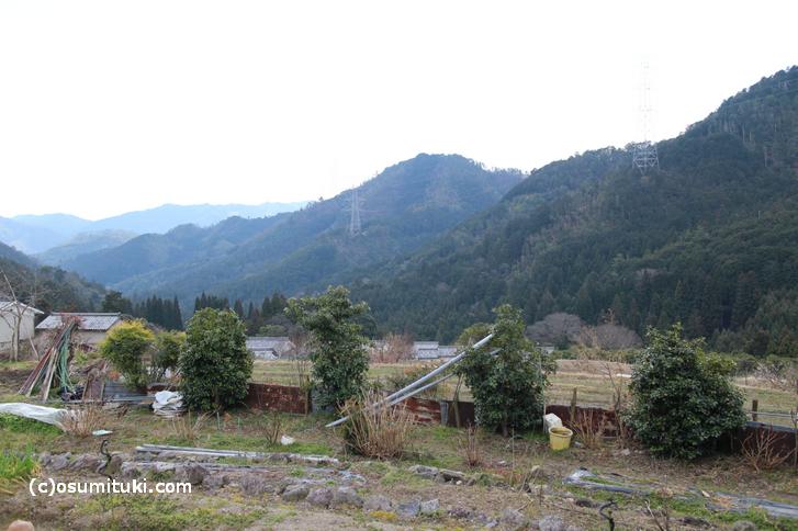柚子は寒暖差のある標高の高い山の斜面で栽培されます(写真は京都・水尾の柚子畑)