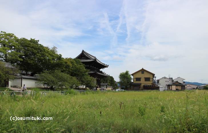京都の西北「一条通」から仁和寺を望む
