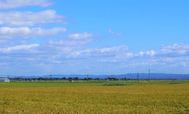 秋田県の田園風景