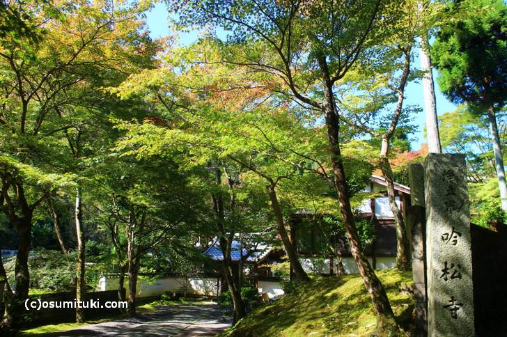 吟松寺は鷹峯・紅葉の穴場です