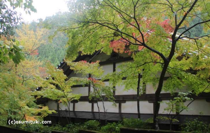 京都・鷹峯「吟松寺」は昨日より紅葉が進んでいました