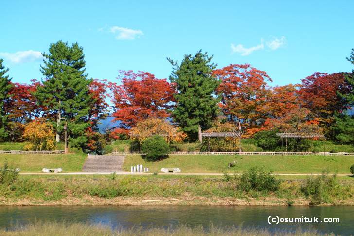 2017年10月31日の京都「鴨川で見た紅葉」
