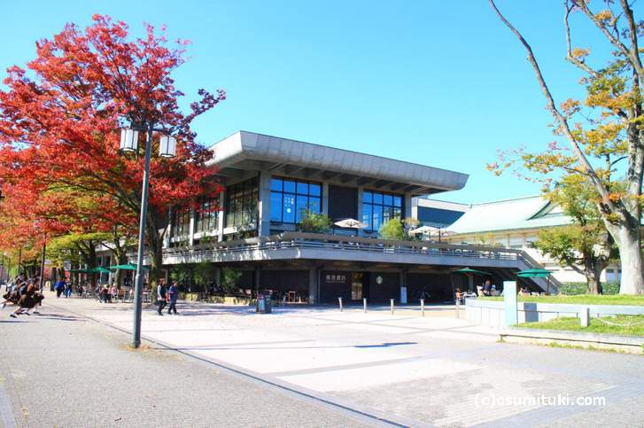 蔦屋書店の紅葉(2017年11月1日撮影)