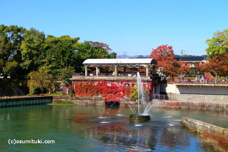 京都市動物園の前にある紅葉のオブジェ
