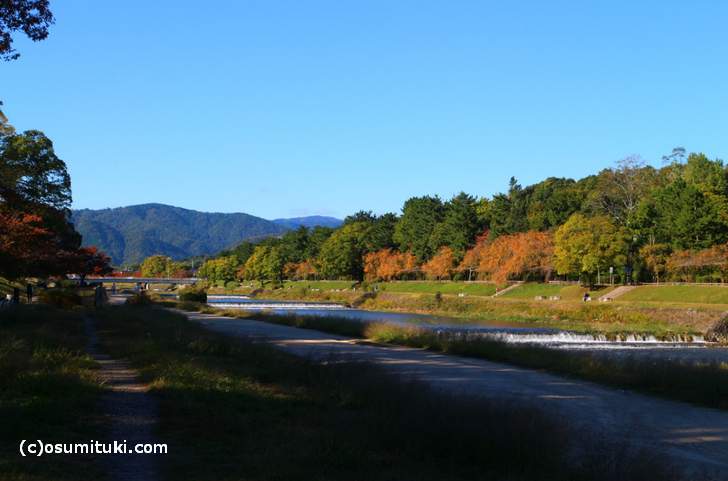 御薗橋方面まで紅葉が続いています