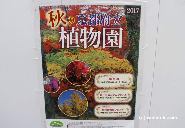 秋の京都府立植物園のイベント案内