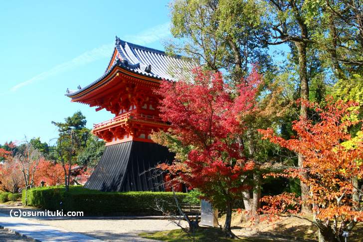 仁和寺で紅葉が美しい場所(2017年11月2日撮影)