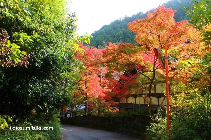 京都・鷹峯「吟松寺の紅葉」(2017年11月9日撮影)