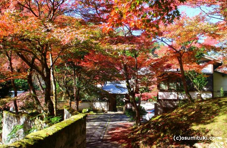 拝観はできませんが、前の道から見る紅葉が一番キレイです