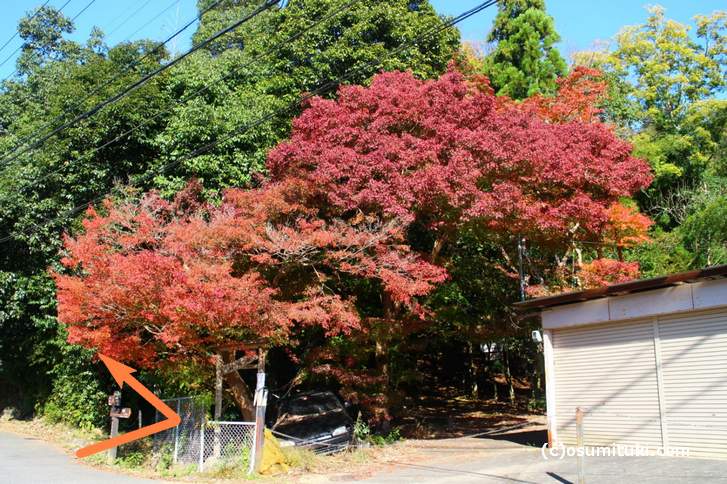 大徳寺讃州寺への入り方