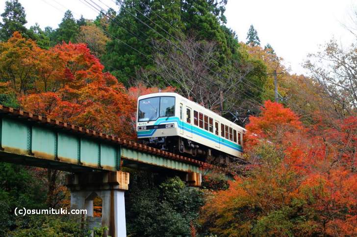 叡電・紅葉トンネルの紅葉写真